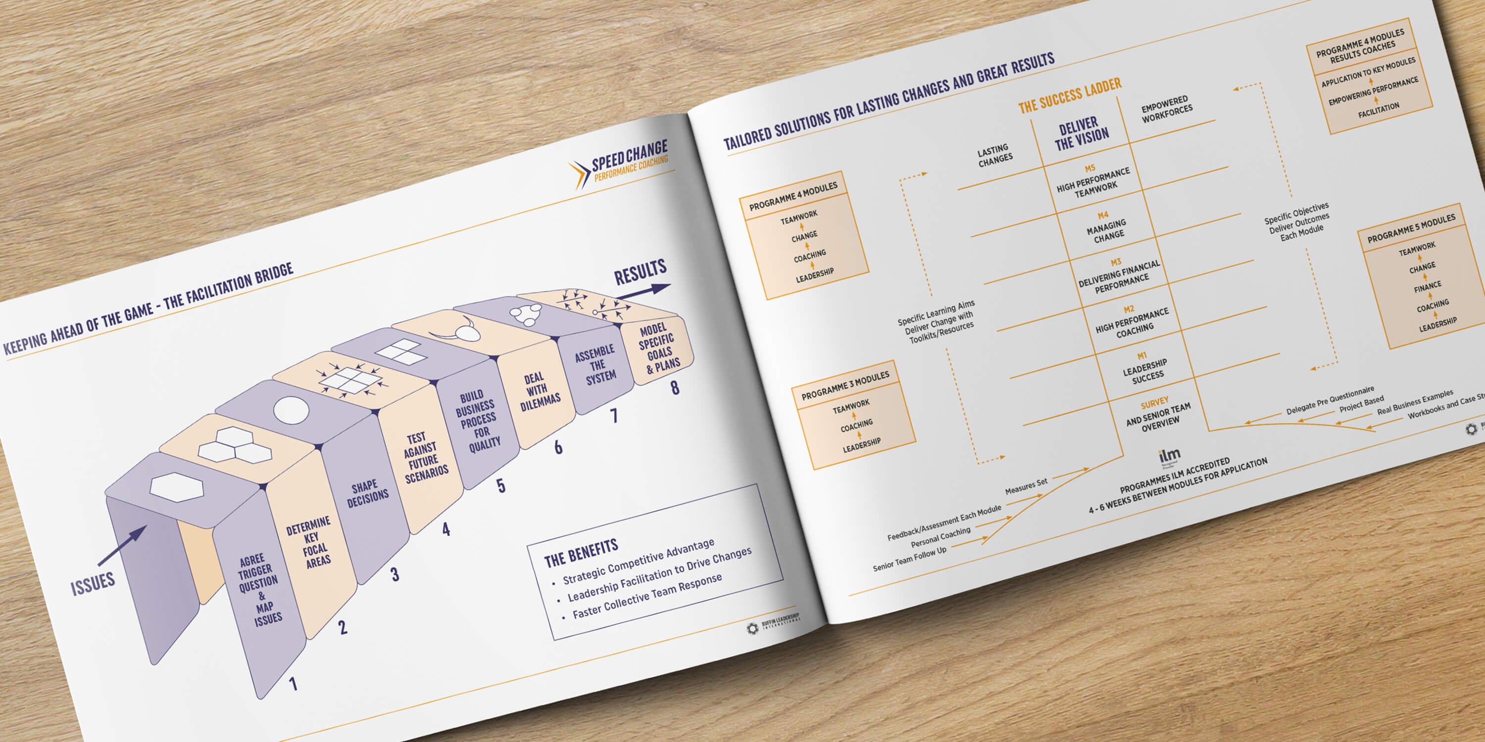 The Buffin Leadership Facilitation Bridge and Success Ladder